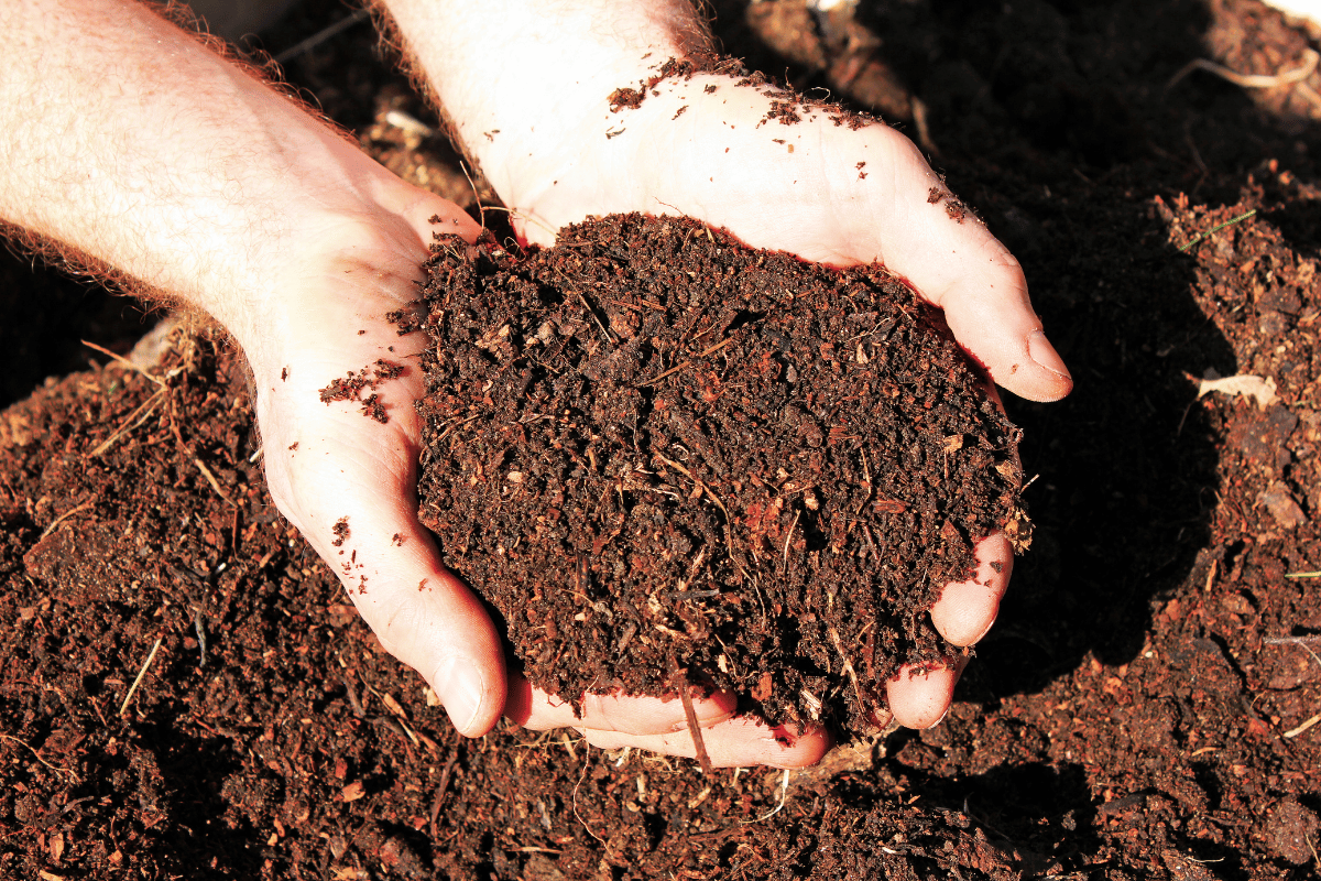 Composted manure and compost are basic organic fertilisers.png